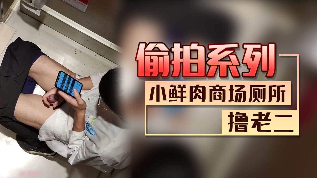【偷拍系列】小鲜肉商场厕所撸老二